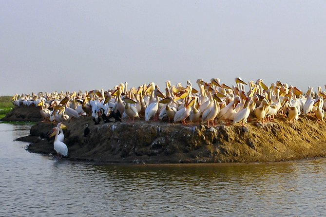 14 Days 13 Nights Senegal Safari Tour