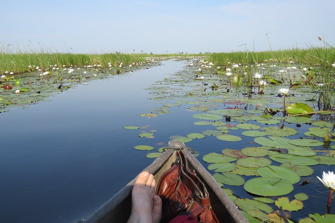 Okavango Delta Mokoro WildCamping 