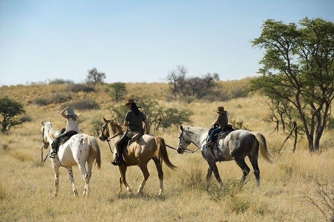 Horseback riding Safari.