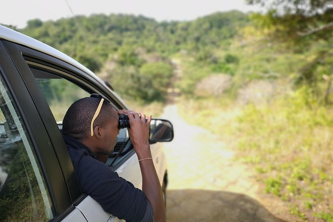 AFRICAN PHOTO SAFARI
