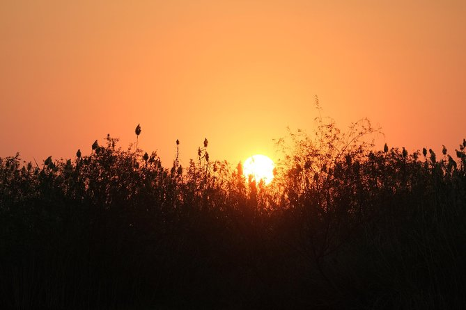 A GOLDEN SHOT DURING SUNSET ON Camping Safari in Botswana 