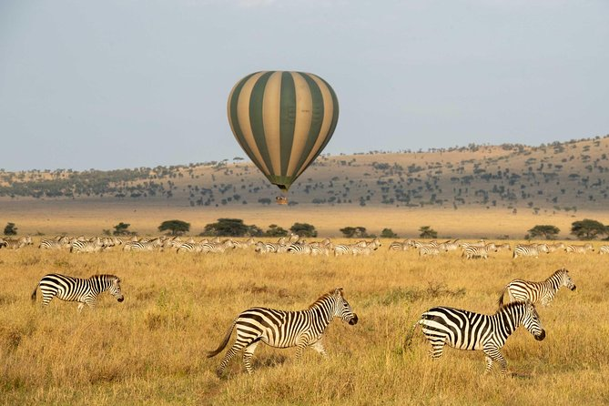 HOTAIR BALOON SAFARI VIEWING