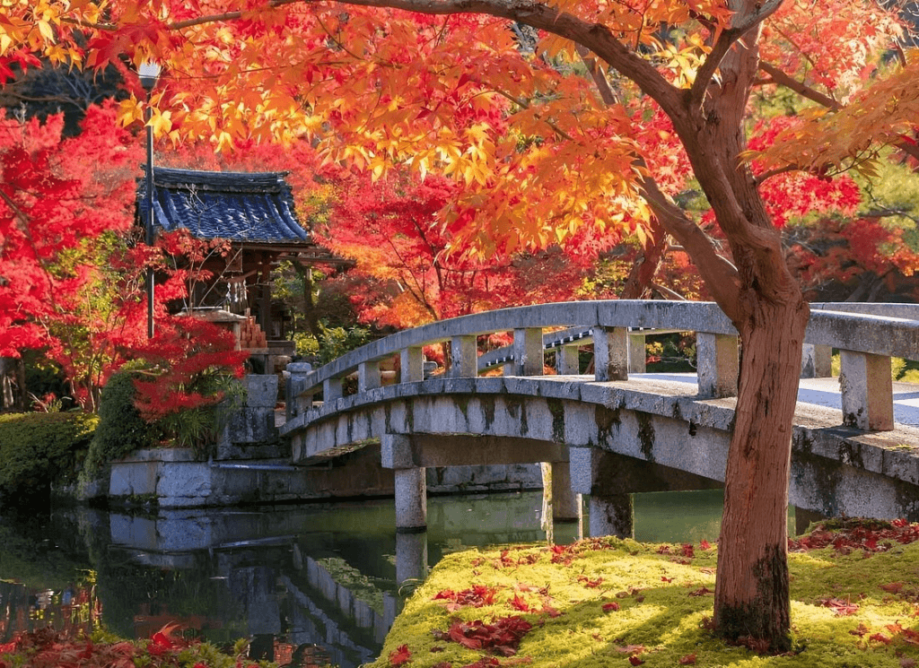 Serene autumn scene in Kyoto, Japan, a luxury travel destination, featuring a traditional Japanese bridge over a tranquil pond, surrounded by vibrant red and orange maple trees, with a historic shrine nestled in the background, offering an exquisite cultural and scenic experience