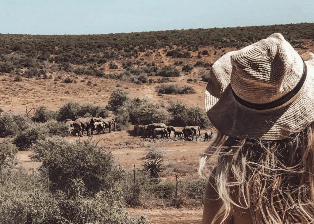 Private walking safari with elephants in South Africa wilderness