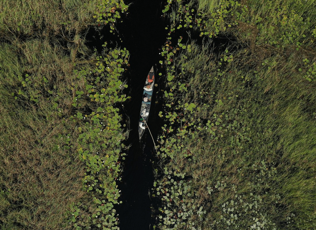 Aerial drone view of mokoro canoe in Okavango Delta Botswana - peaceful water safari in reeded channels