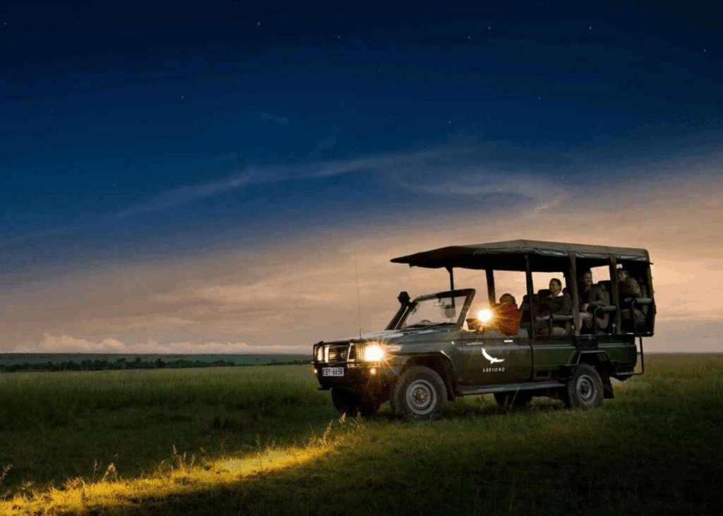 Guests on a guided night safari in Africa using a spotlight to spot nocturnal animals.